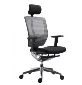 Scaune Ergonomice Vega